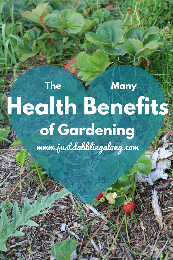 The Many Health Benefits Of Gardening - Just Dabbling Along